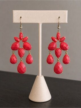 Natural Stone Trendy Fuchsia Earrings